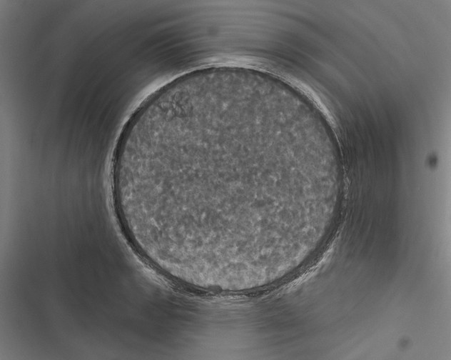 X0000116851133201001191635