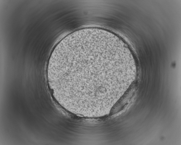 X0000116851137201001191635