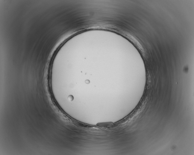 X0000116851138201001191635