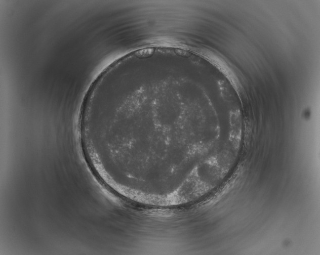 X0000116851141201001191635