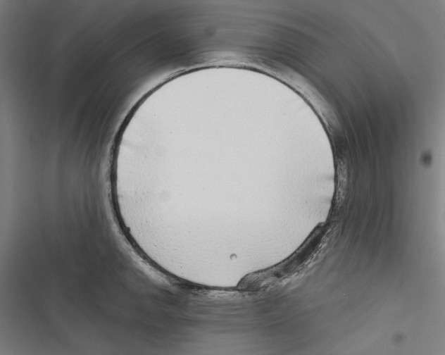 X0000116851142201001191635