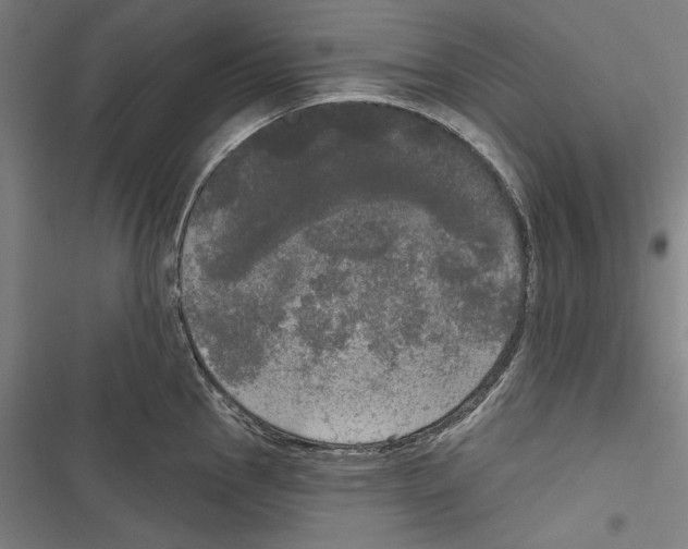 X0000116851145201001191635
