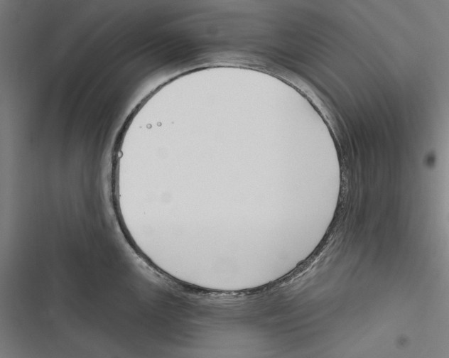 X0000116851147201001191635