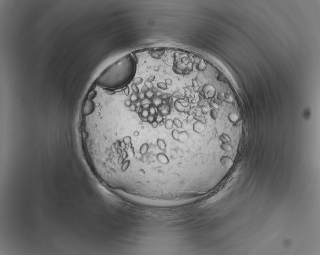 X0000116851149201001191635