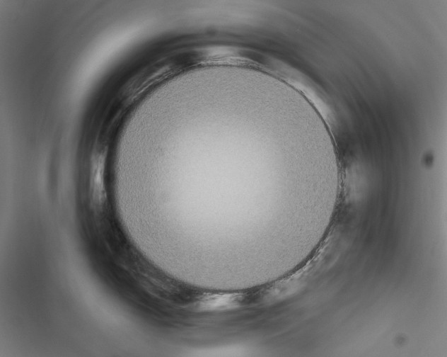 X0000116851150201001191635
