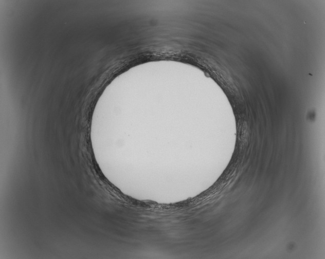 X0000116851153201001191634