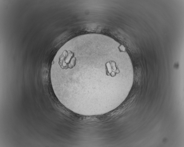 X0000116851154201001191634