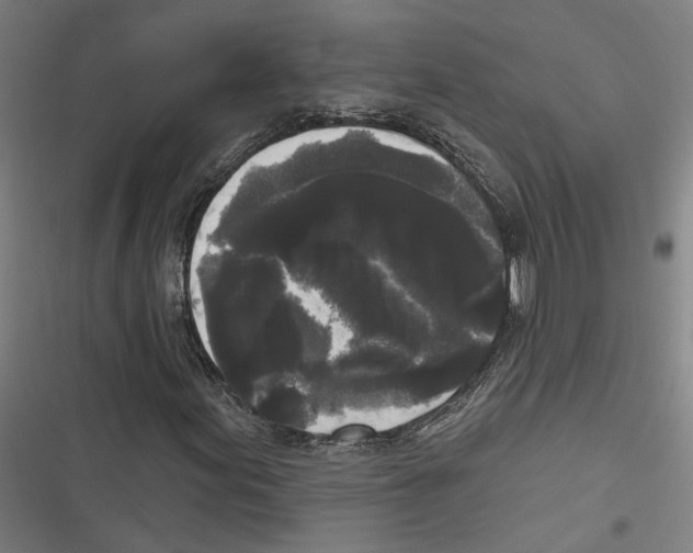 X0000116851155201001191634
