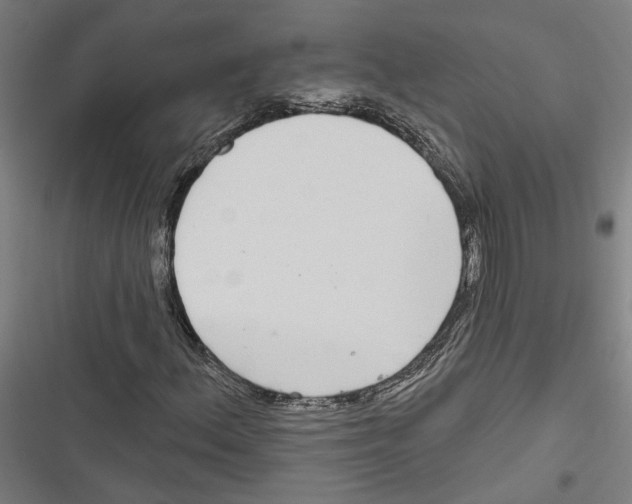 X0000116851156201001191634