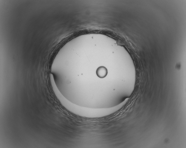 X0000116851157201001191634