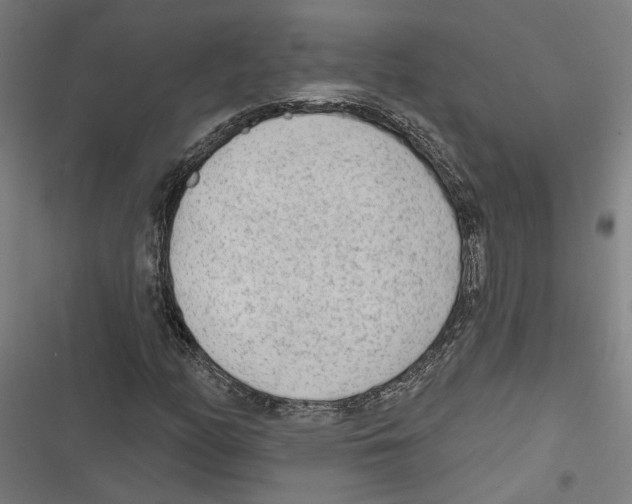 X0000116851158201001191634