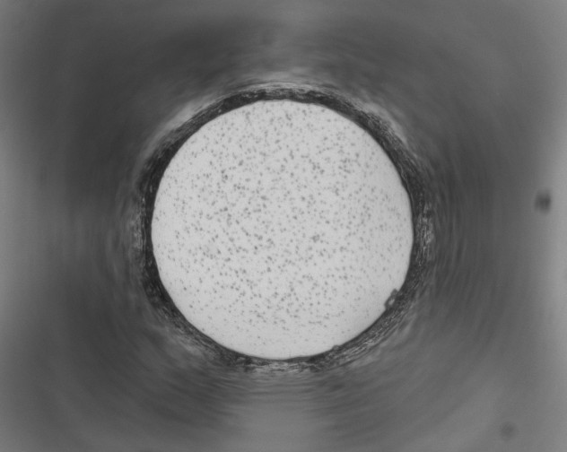 X0000116851159201001191634