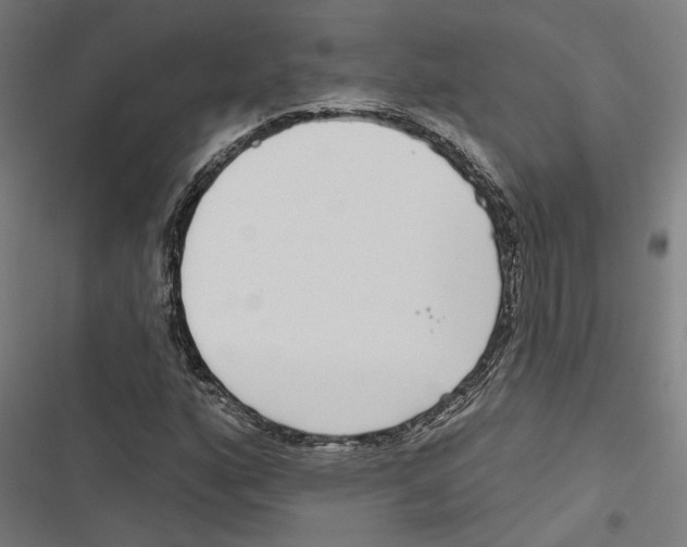 X0000116851160201001191634