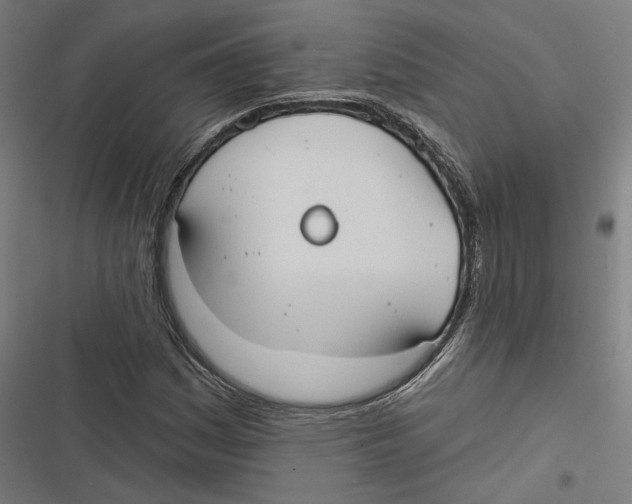 X0000116851161201001191634
