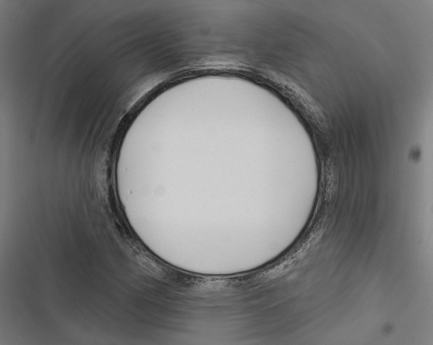 X0000116851162201001191634