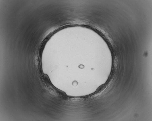 X0000116851163201001191634