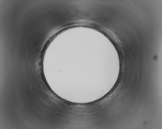 X0000116851164201001191634