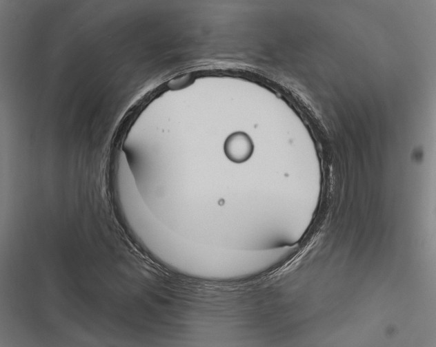 X0000116851165201001191634