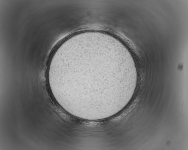 X0000116851166201001191634