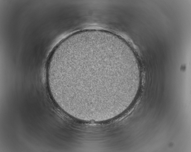 X0000116851167201001191634