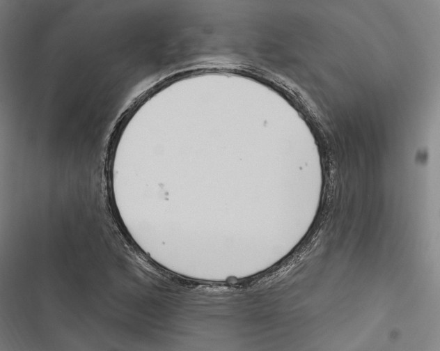 X0000116851168201001191634