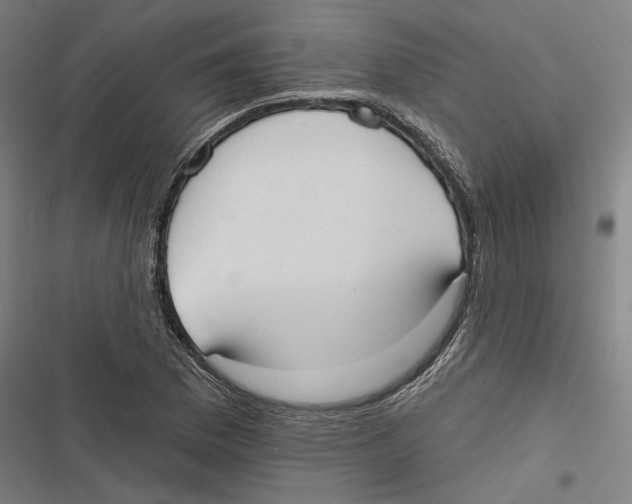 X0000116851169201001191634