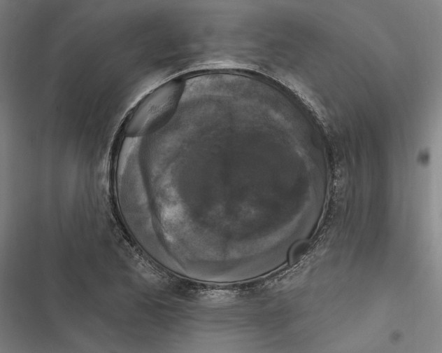 X0000116851173201001191634