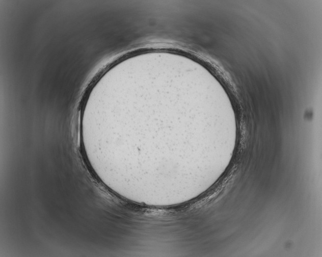 X0000116851175201001191634