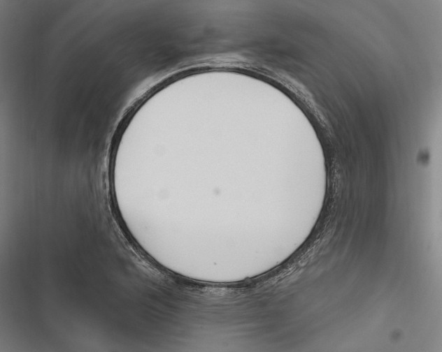 X0000116851176201001191634