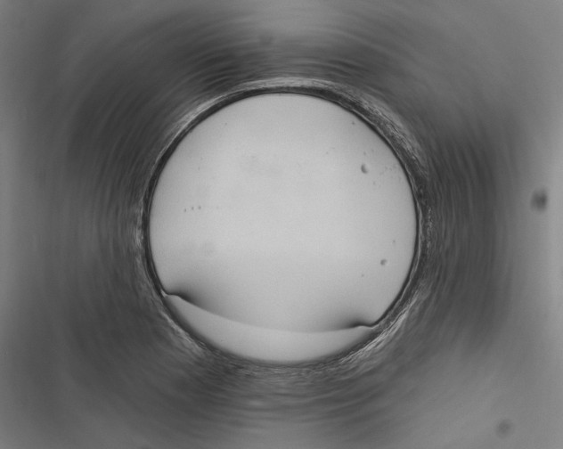 X0000116851177201001191634