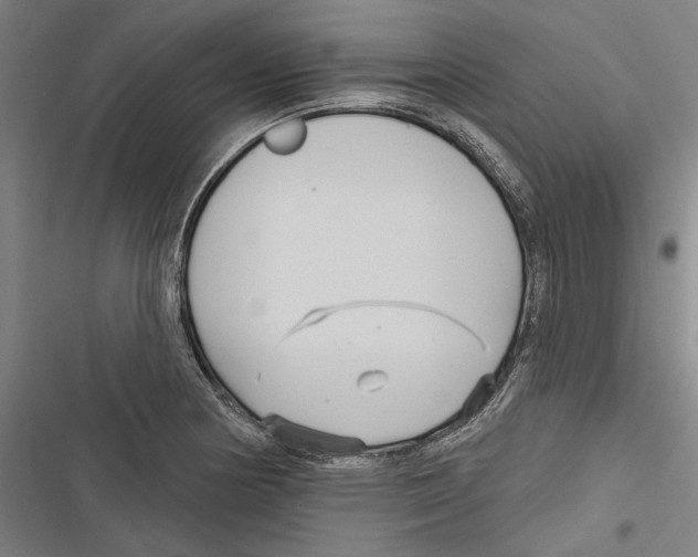 X0000116851178201001191634