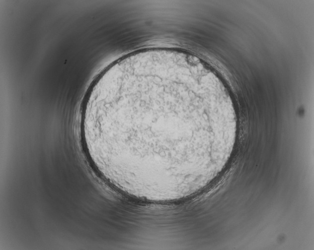 X0000116851179201001191634