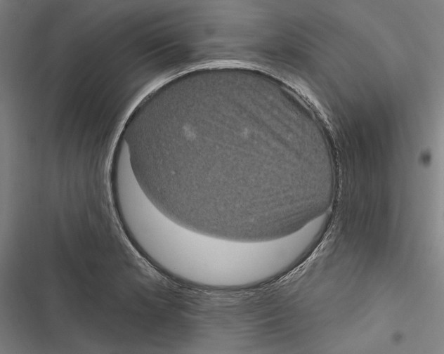 X0000116851181201001191634