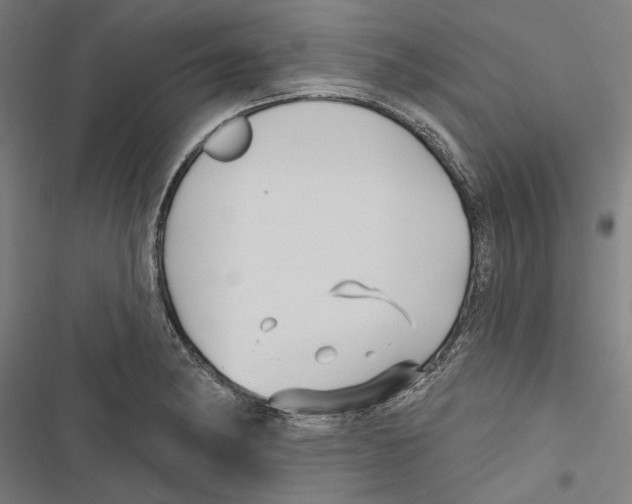 X0000116851182201001191634