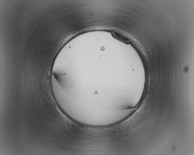X0000116851185201001191634