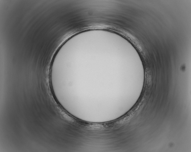 X0000116851186201001191634