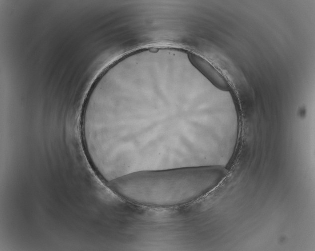 X0000116851189201001191634
