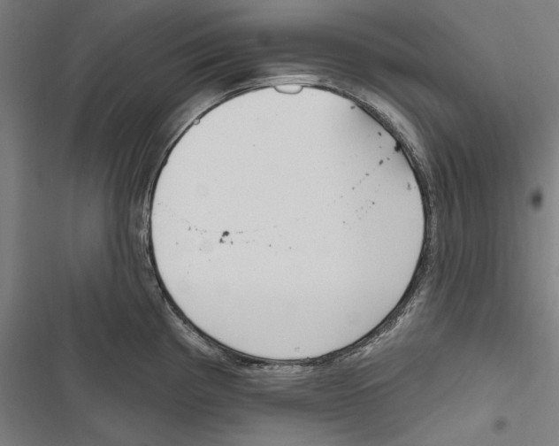 X0000116851193201001191634
