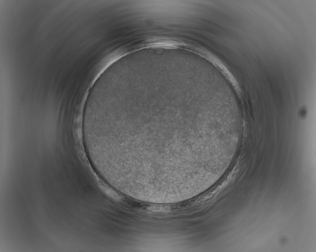 X0000116851194201001191634