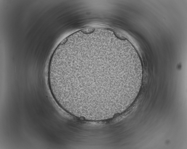 X0000116851195201001191634