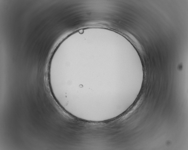 X0000116851196201001191634