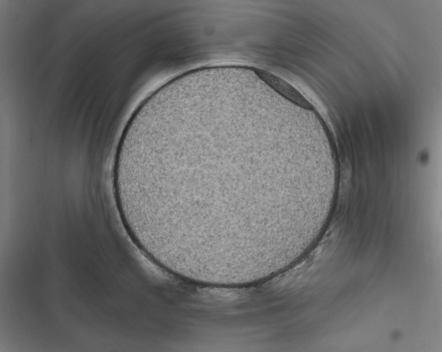 X0000116851197201001191634