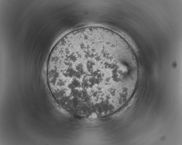 X0000116851198201001191634