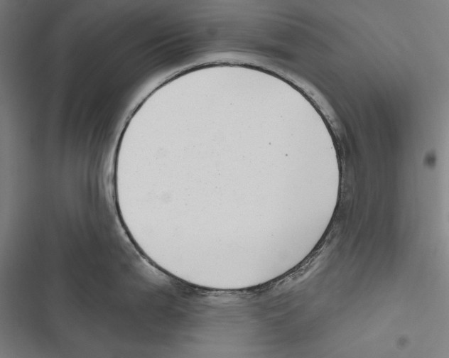 X0000116851199201001191634