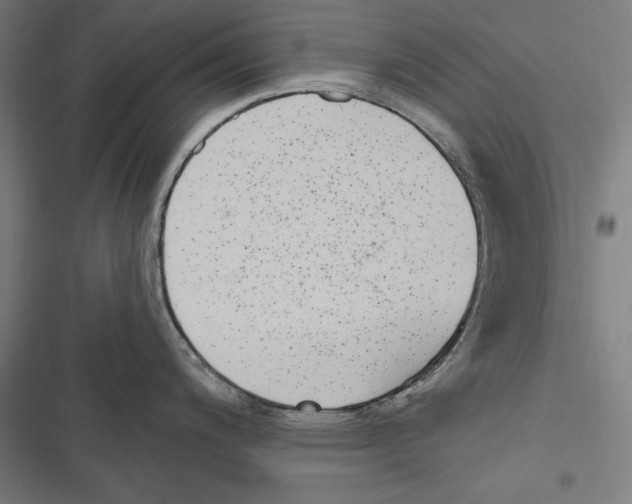 X0000116851200201001191634