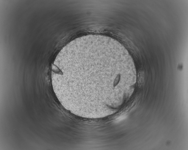 X0000116851202201001191633