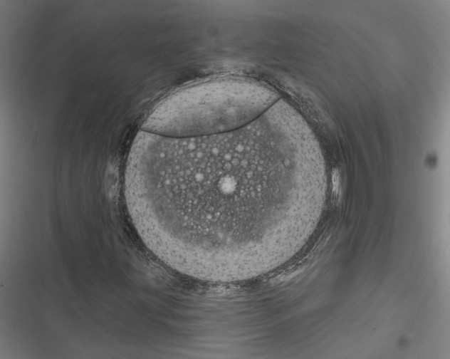 X0000116851203201001191633