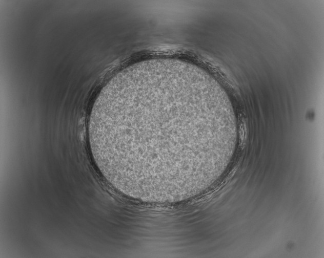 X0000116851204201001191633