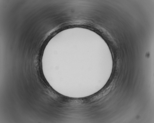 X0000116851210201001191633