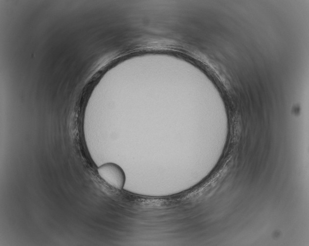 X0000116851211201001191633